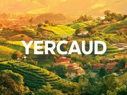 Yercaud Hill Station Drop
