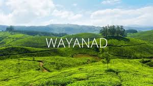 Wayanad Honeymoon Drop